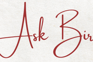 Ask Birdie