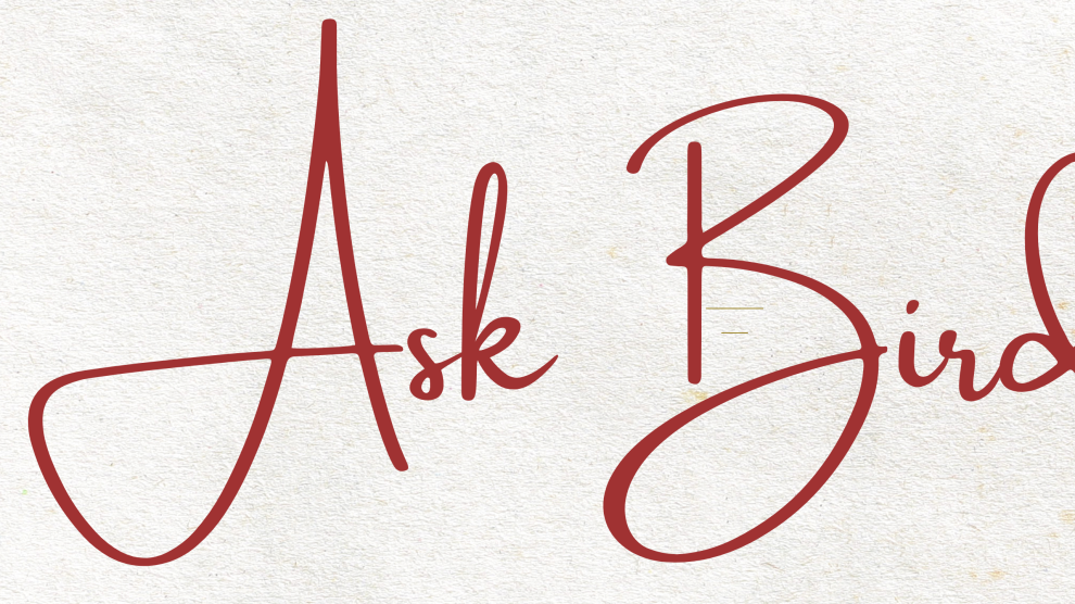 Ask Birdie